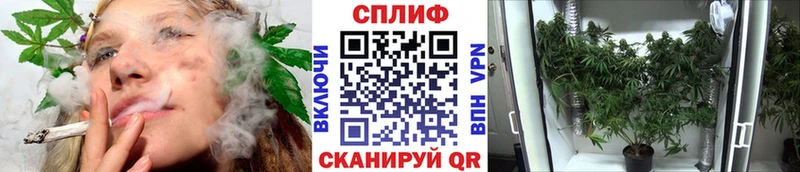 Что такое Чёрмоз Cocaine  МЕФ  ГАШ 