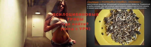 мяу мяу мука Куйбышев
